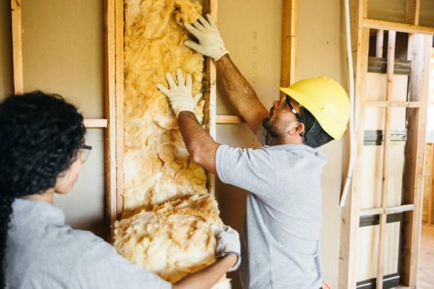 Best Home Insulation Services  in Waupaca, WI